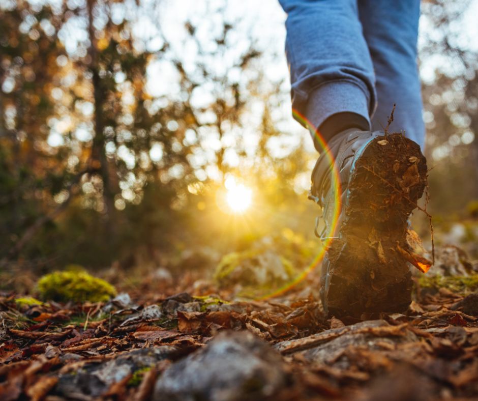 Strength for the Long Road: How God Sustains You in Seasons of Weariness
