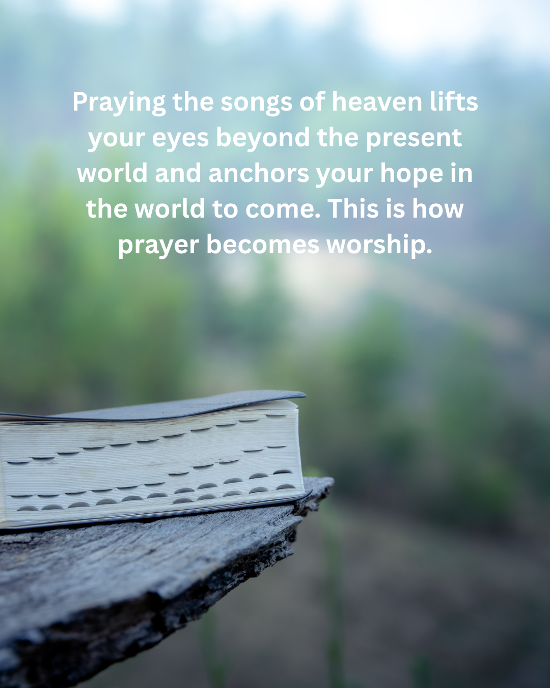 Let the Worship of Heaven Become the Worship of Your Heart